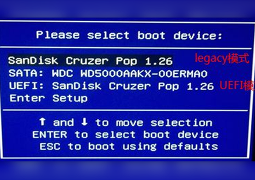 选择带有USB字样的启动项